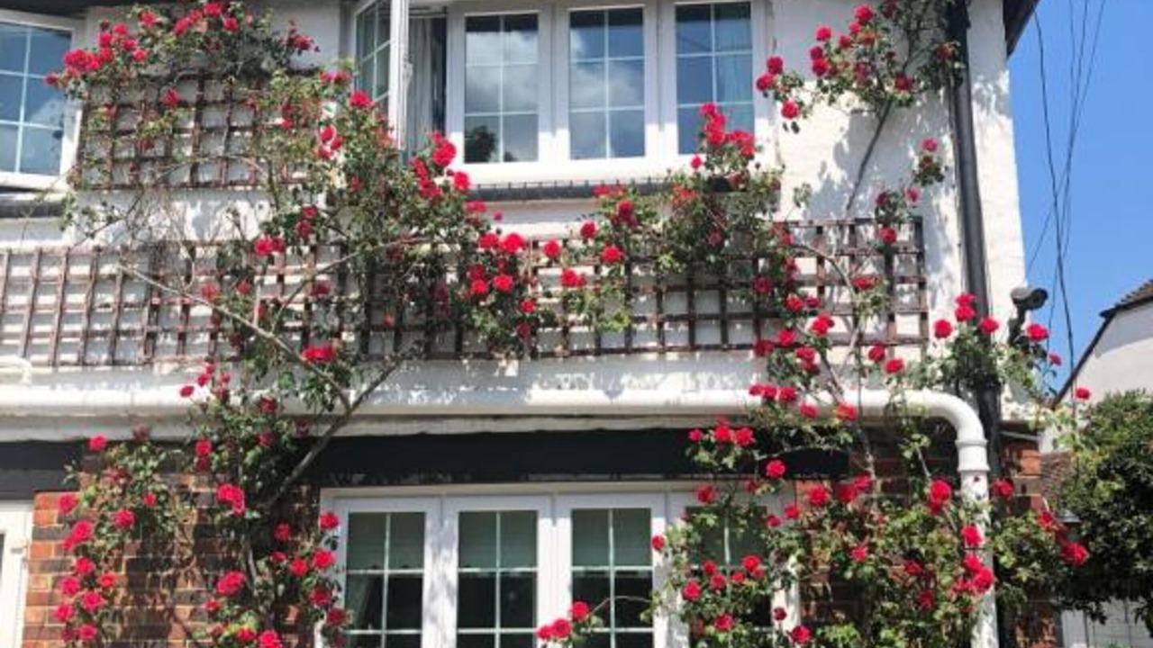 Photo of Outdoor in Horley