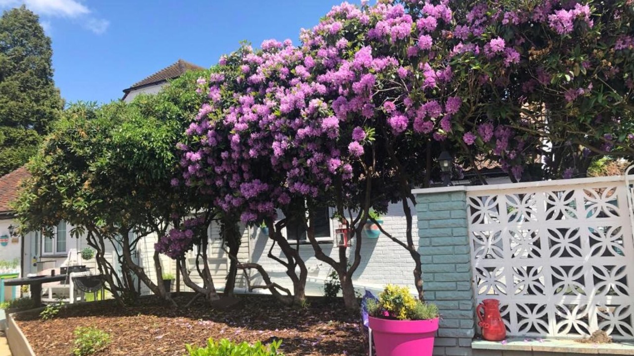 Photo of Outdoor in Horley