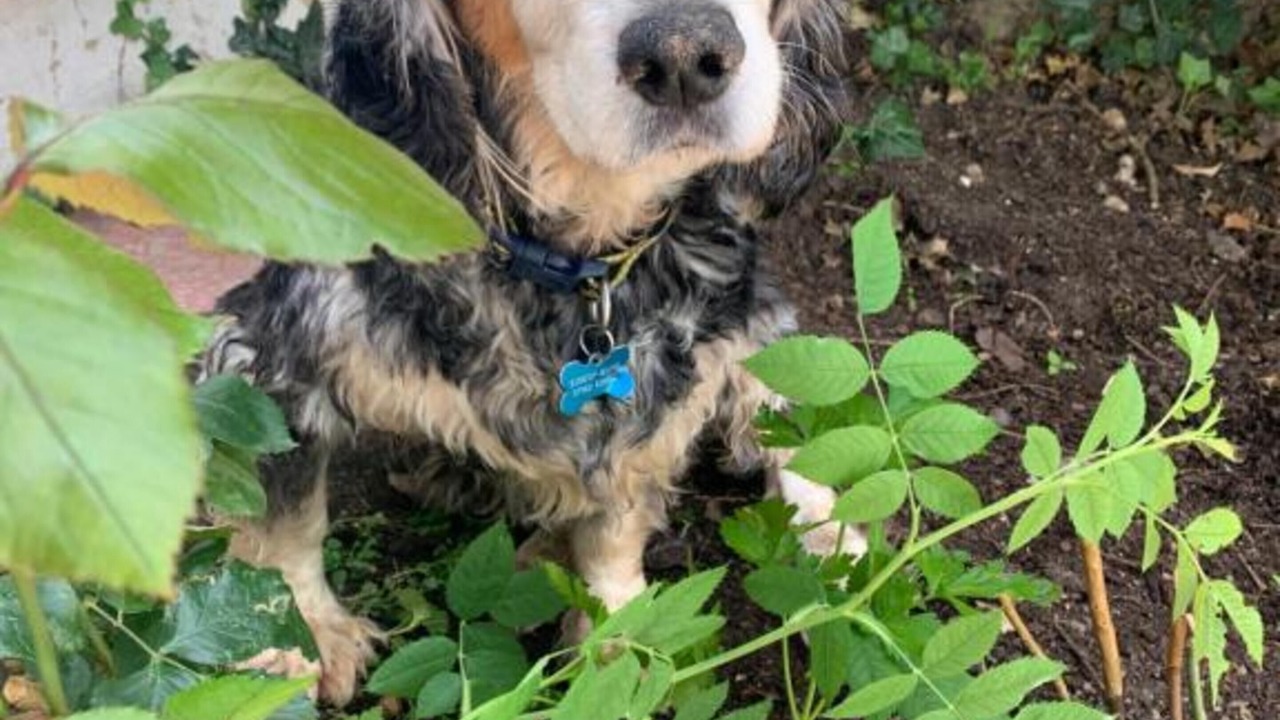 Photo of Others in Horley