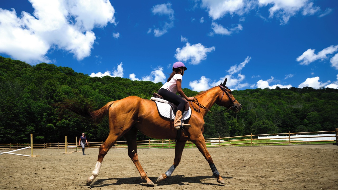Photo of Outdoor in Newfoundland