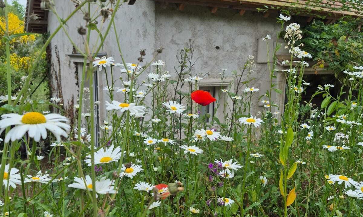 Photo of Outdoor in Viglain