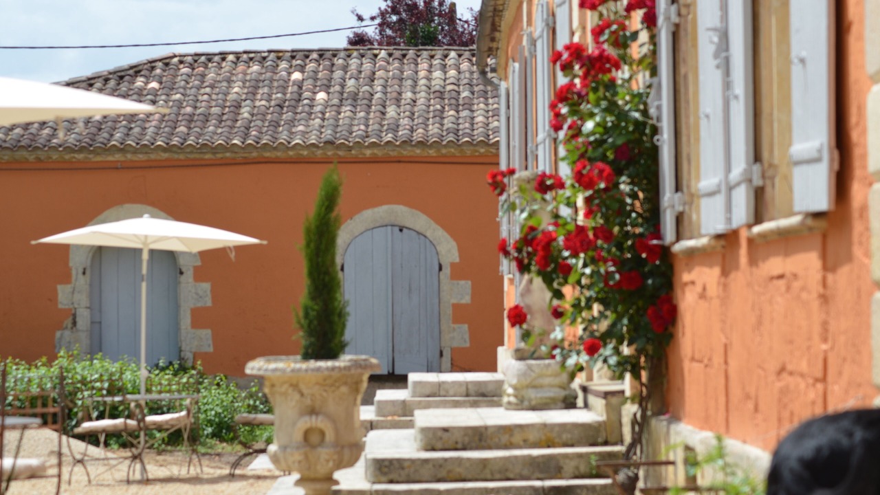 Photo of Outdoor in Saint-Ciers-sur-Gironde