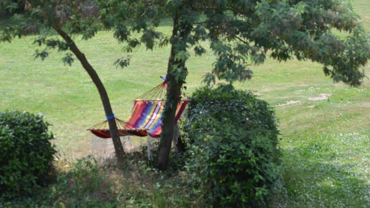 Photo of Outdoor in Saint-Ciers-sur-Gironde