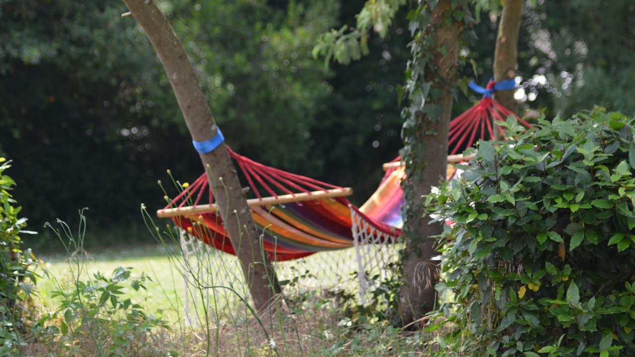 Photo of Outdoor in Saint-Ciers-sur-Gironde