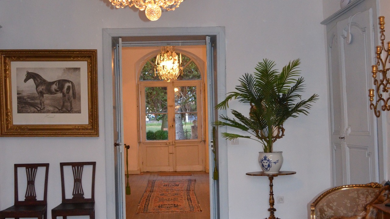 Photo of Others in Saint-Ciers-sur-Gironde