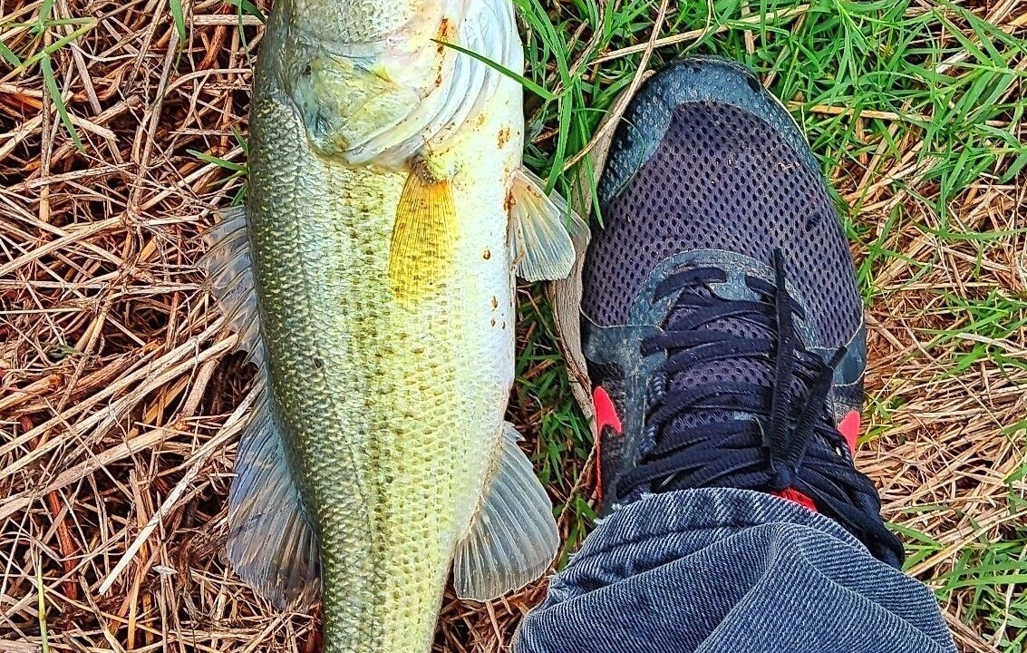 Photo of Outdoor in Wills Point