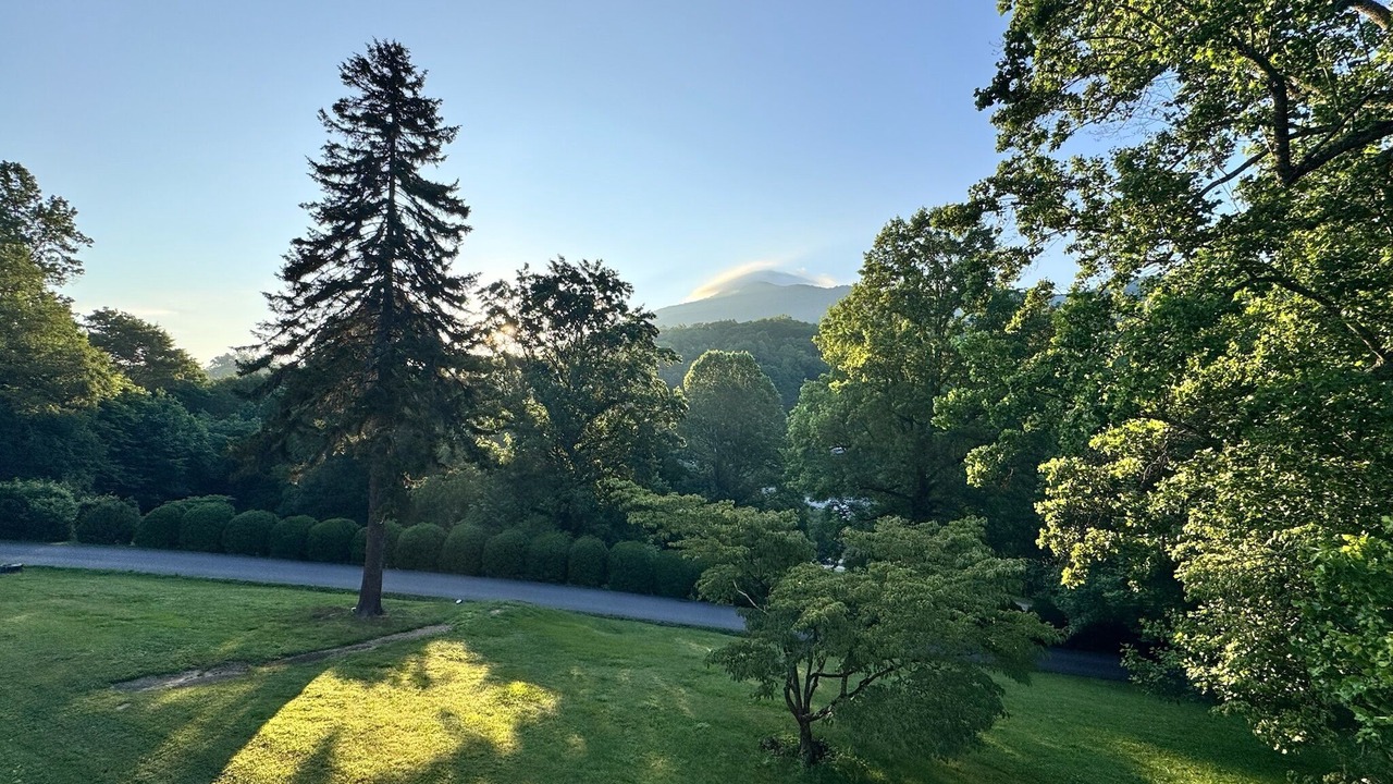 Photo of Outdoor in Sylva