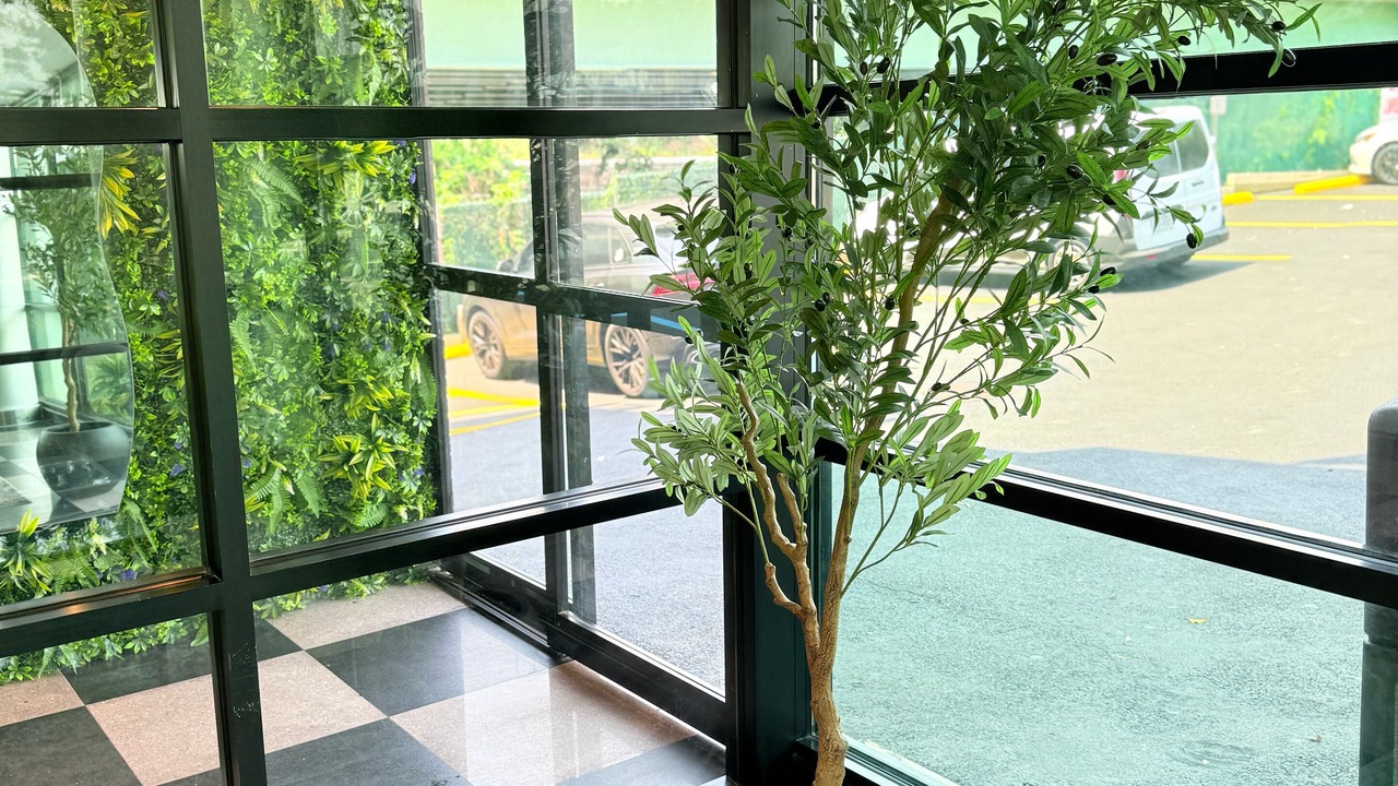 Photo of Others in West Bronx