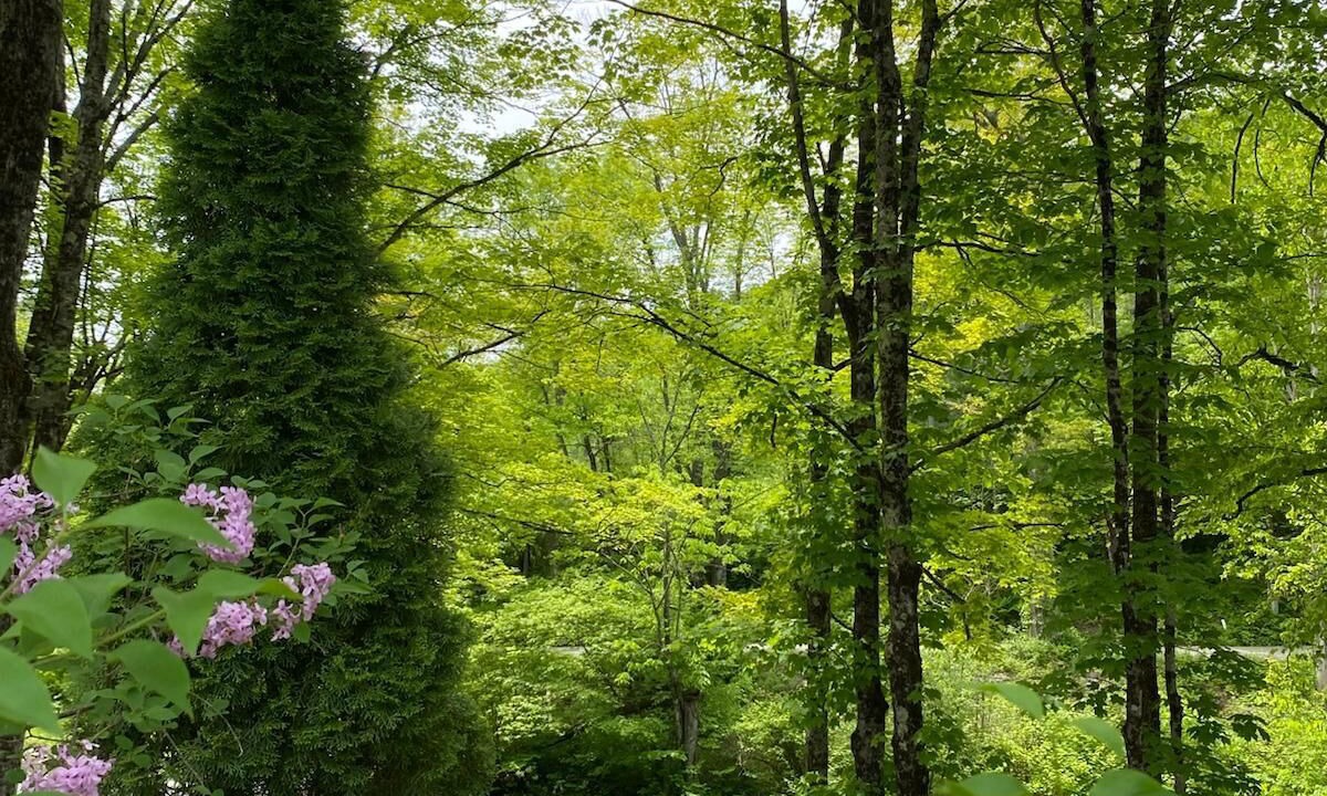 Photo of Outdoor in Guilford