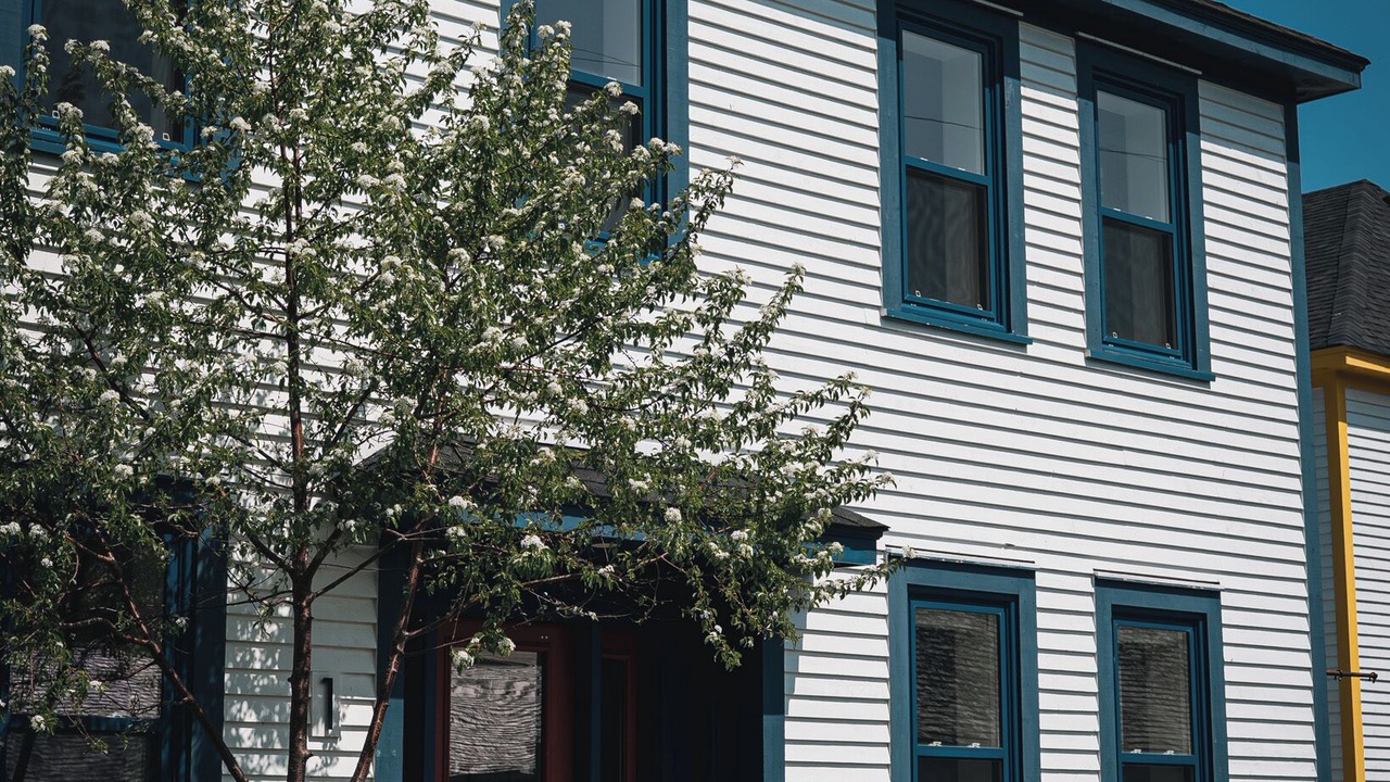 Photo of Outdoor in Quidi Vidi