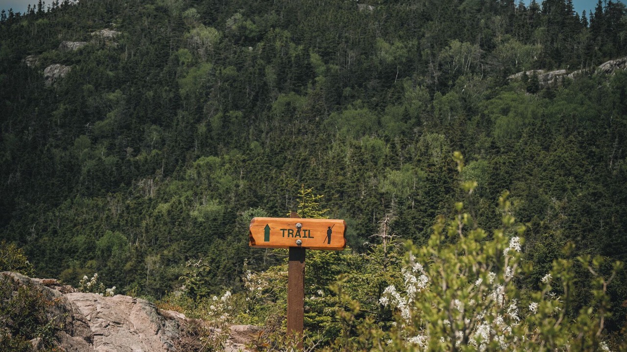 Photo of Outdoor in Quidi Vidi