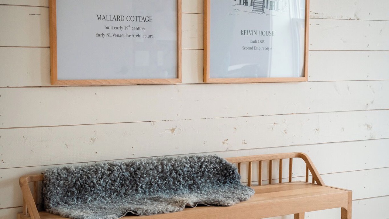 Photo of Others in Quidi Vidi