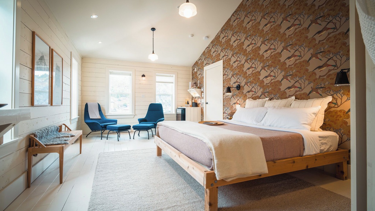 Photo of Others in Quidi Vidi