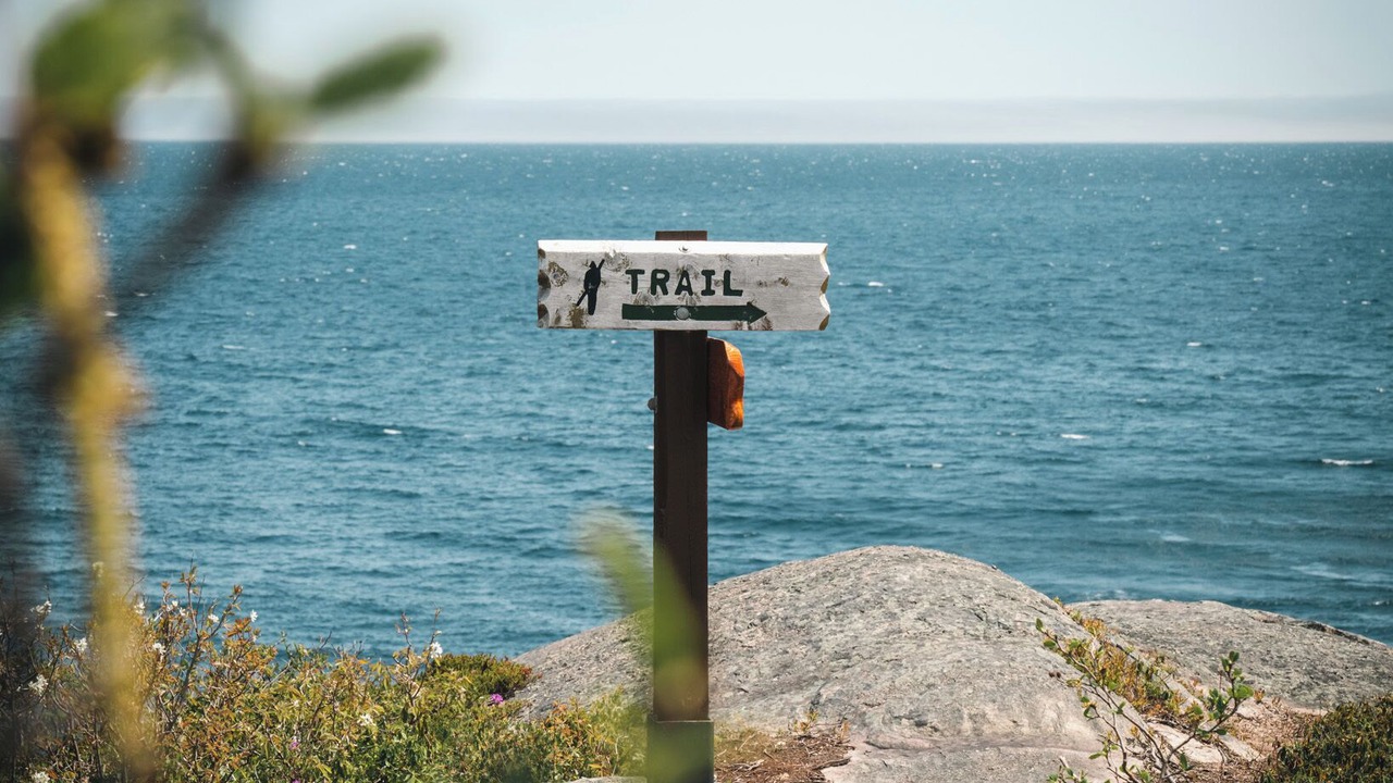 Photo of Outdoor in Quidi Vidi