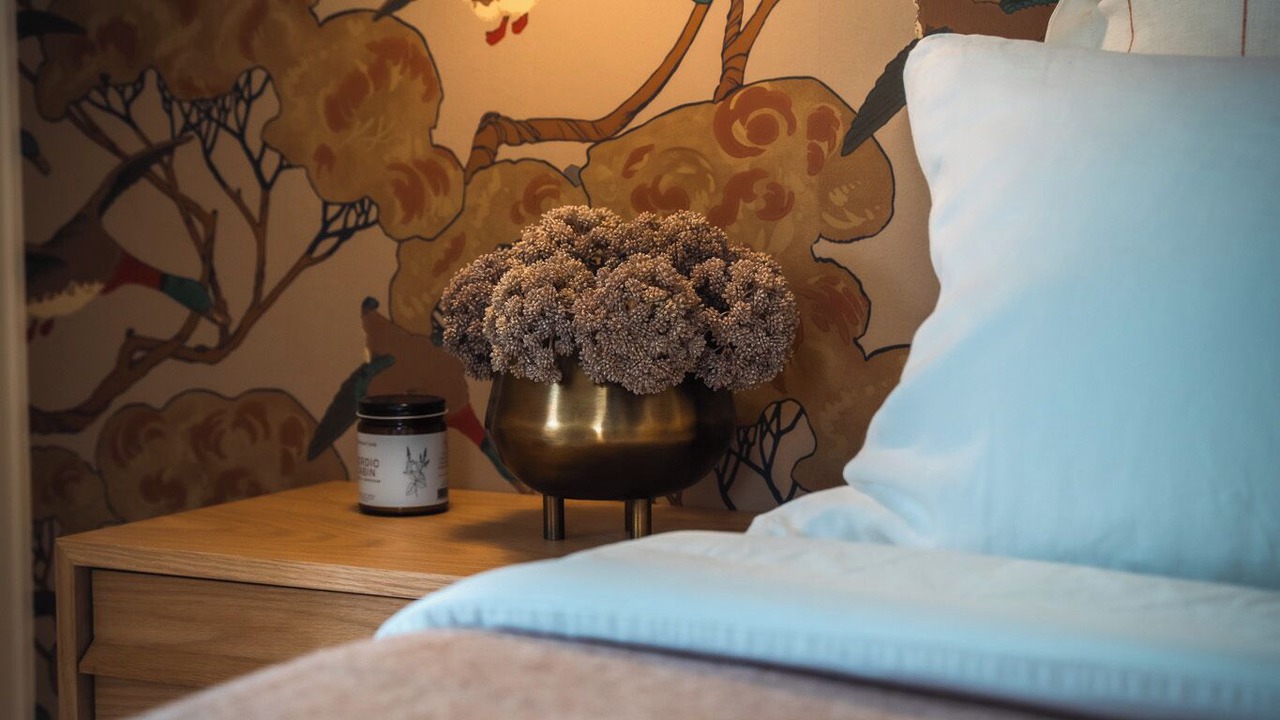 Photo of Others in Quidi Vidi