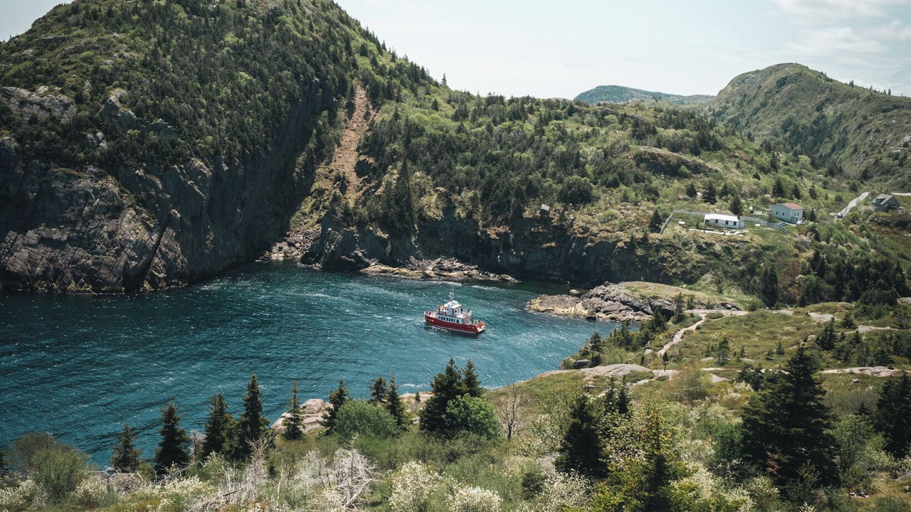 Photo of Outdoor in Quidi Vidi