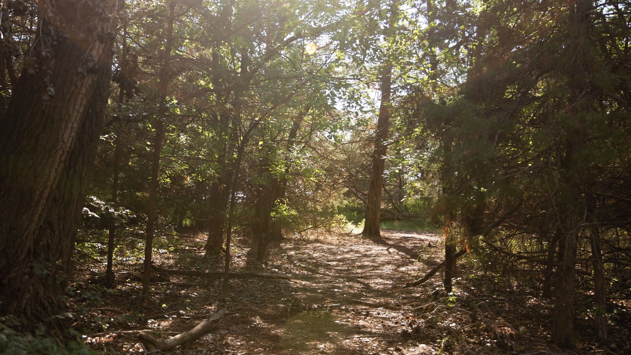 Photo of Outdoor in Harvey County