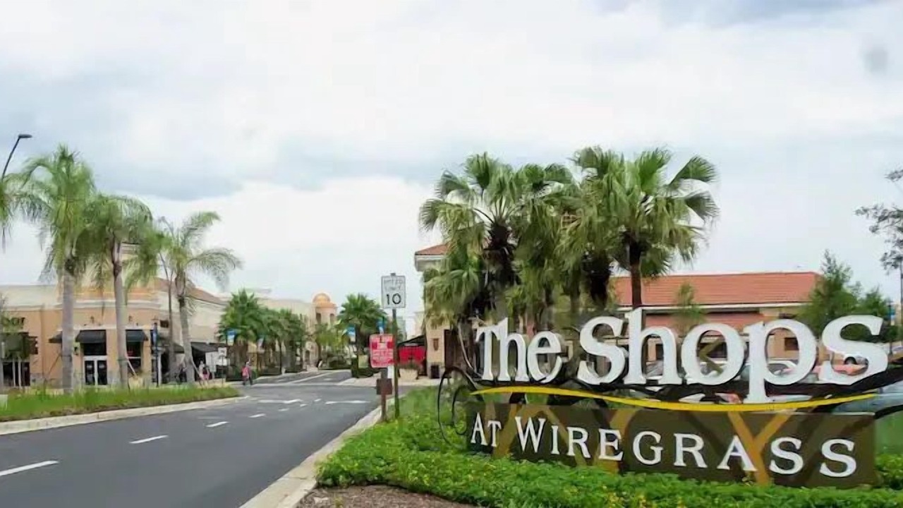 Photo of Others in Wesley Chapel