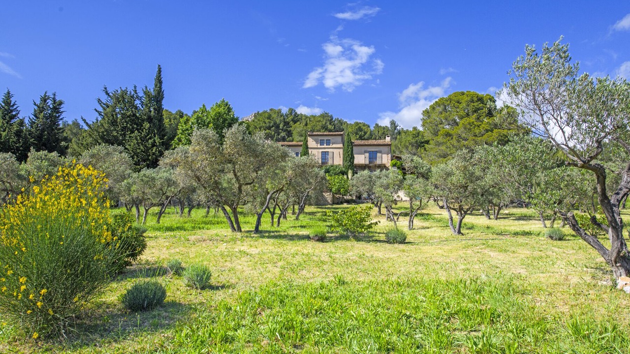 Photo of Others in Paradou