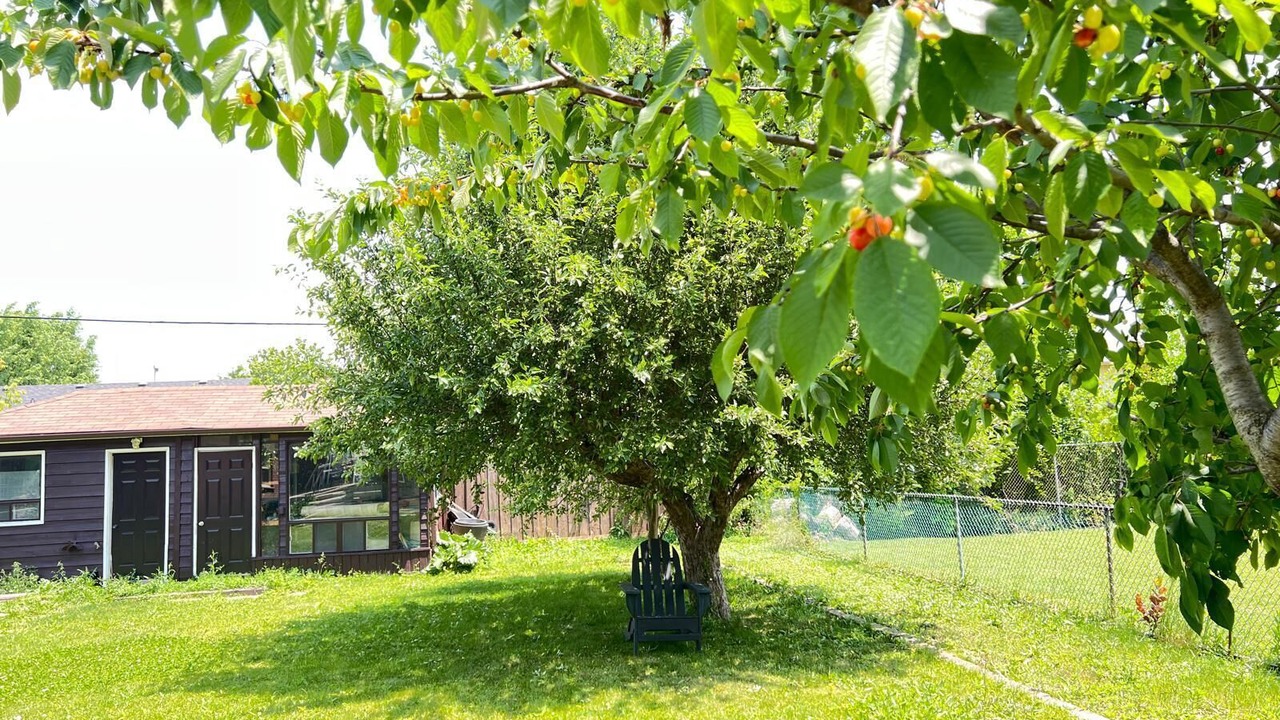 Photo of Outdoor in Lawrence Heights