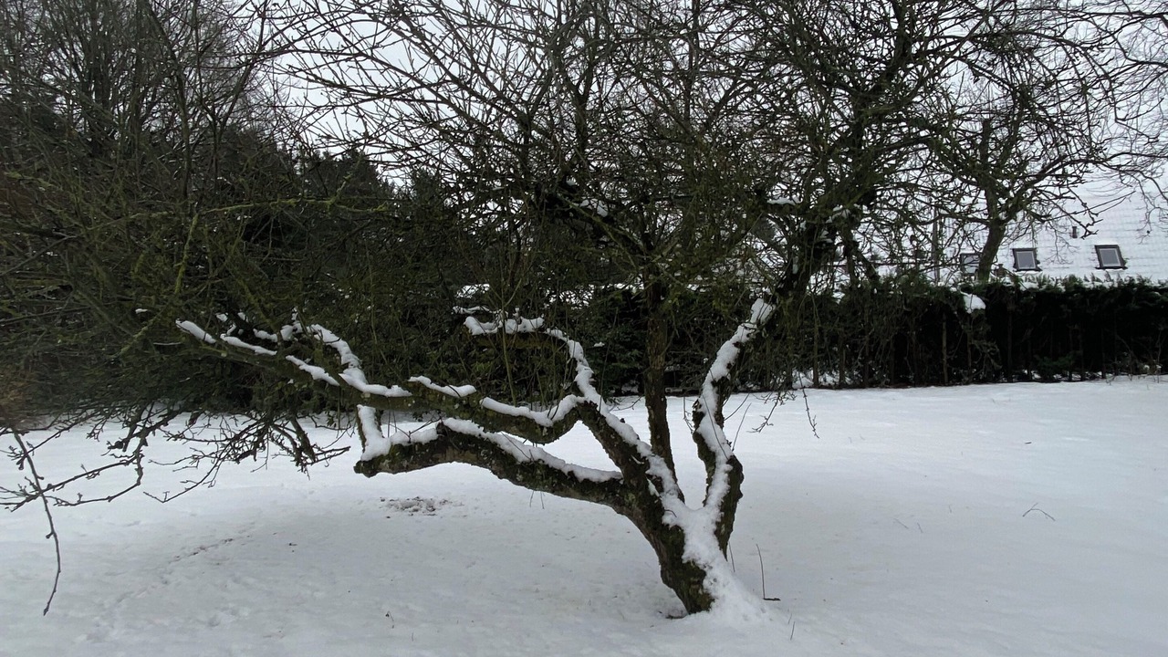 Photo of Outdoor in Varbjerg