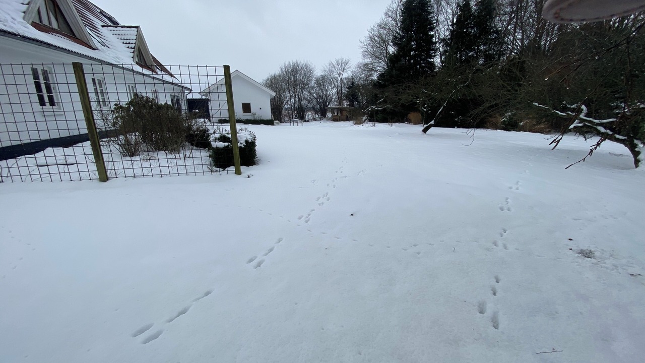 Photo of Outdoor in Varbjerg