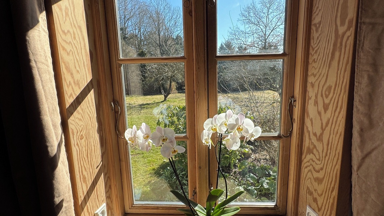 Photo of Outdoor in Aeroskobing