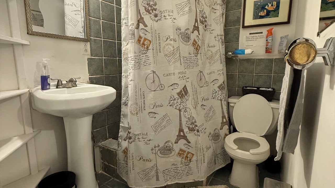 Photo of Others in East Harlem