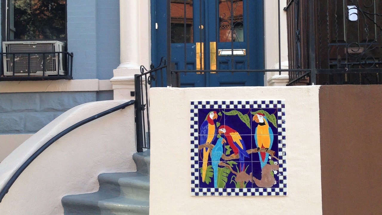 Photo of Outdoor in East Harlem