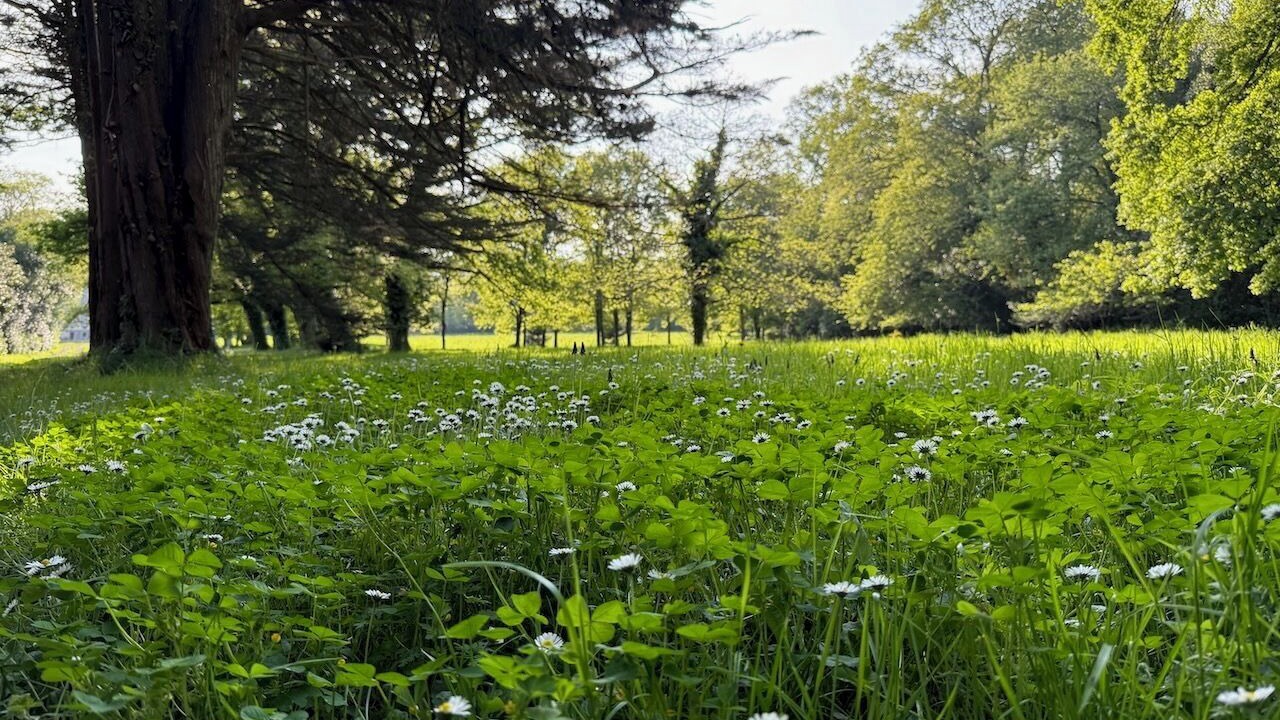 Photo of Outdoor in Saint-Vincent-sur-Oust