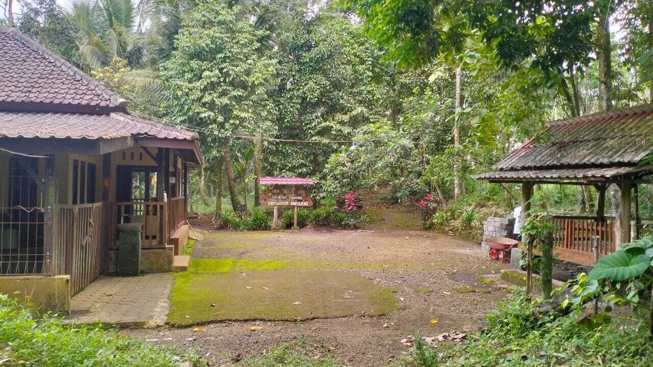 Photo of Outdoor in Kalipuro