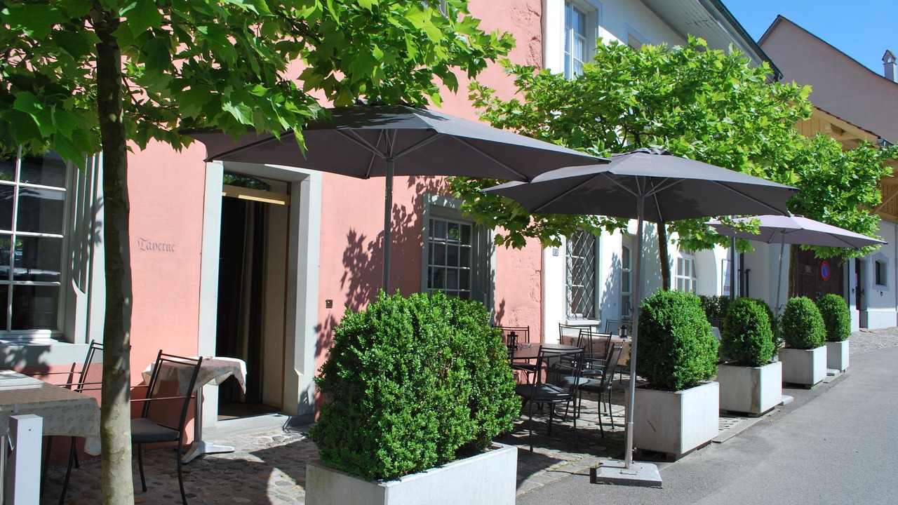 Photo of Outdoor in Gunzwil