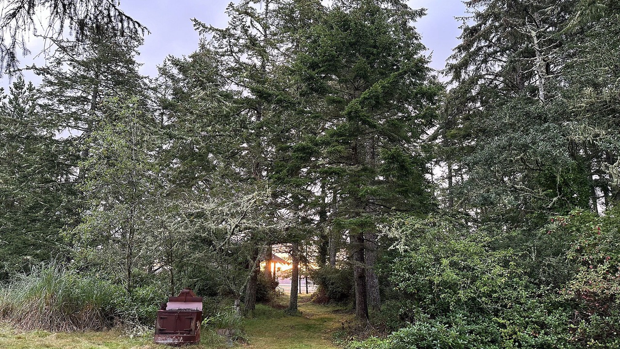 Photo of Outdoor in Ocean Park