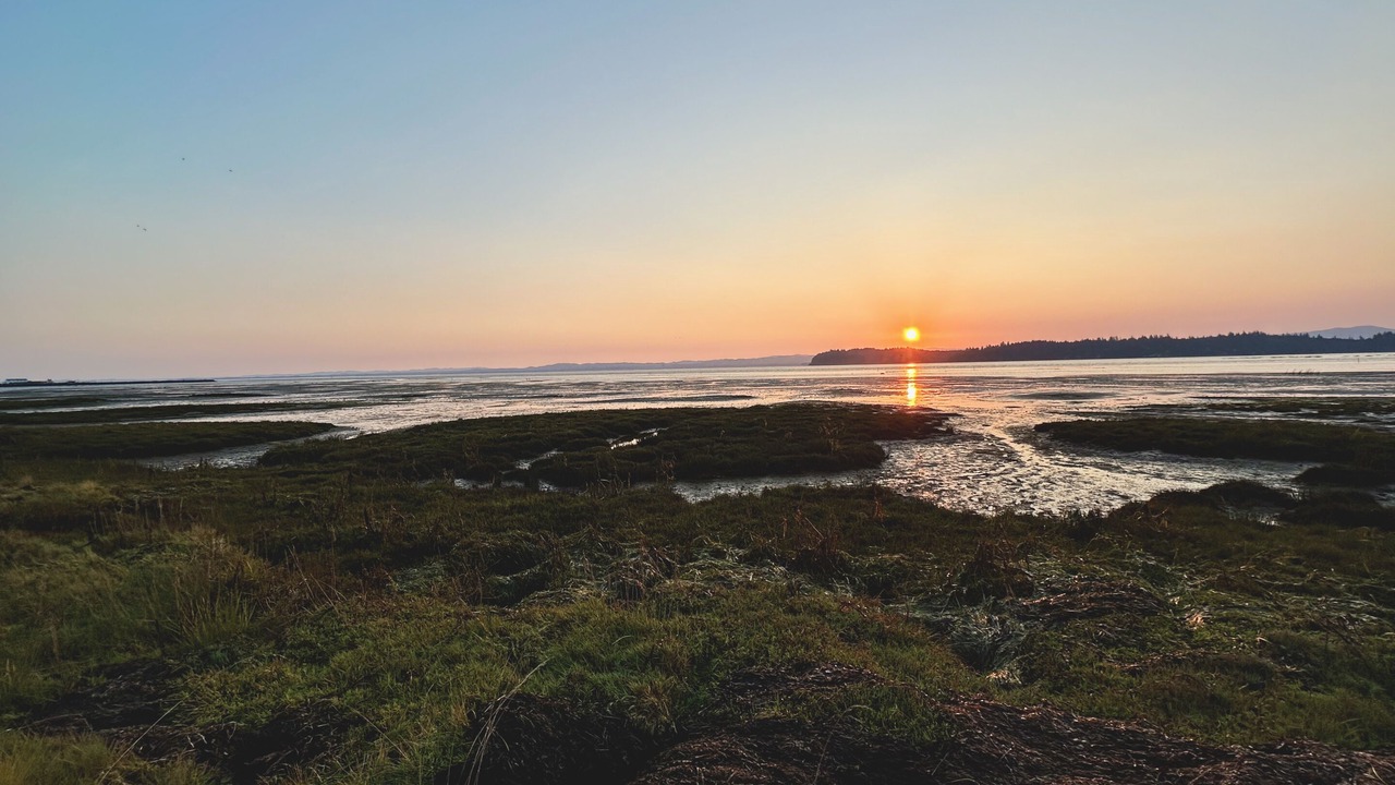 Photo of Outdoor in Ocean Park