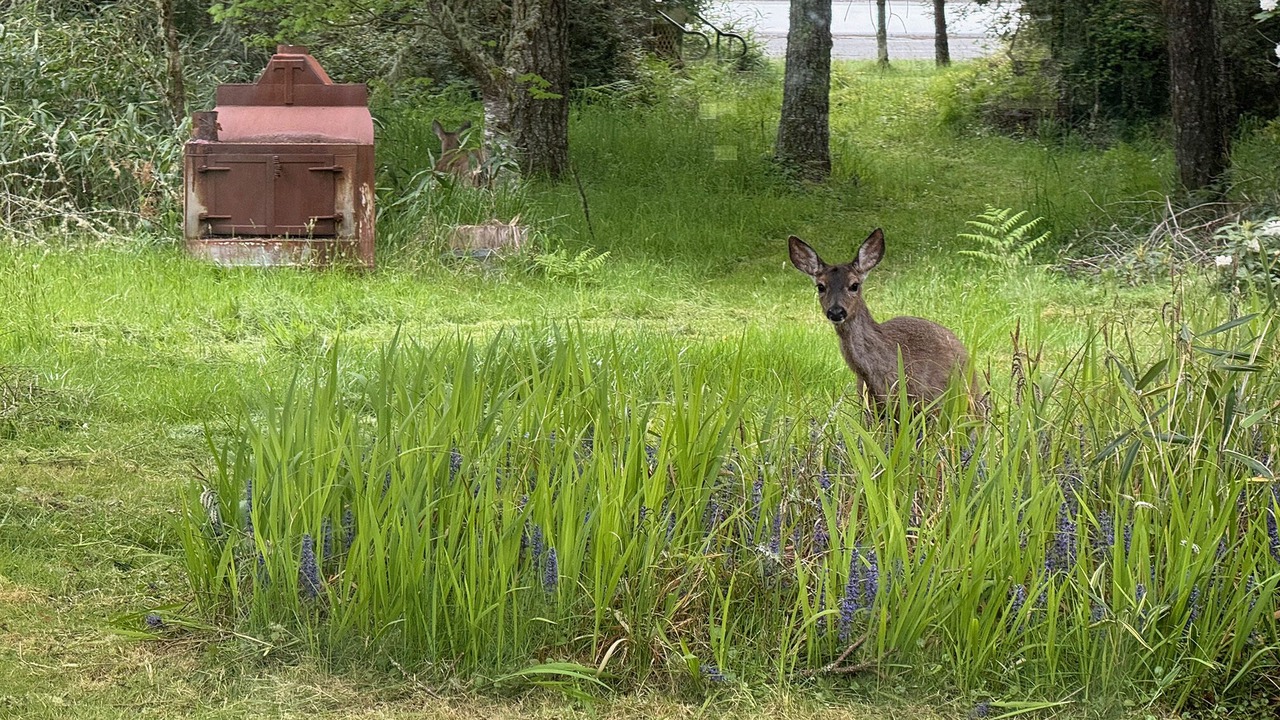 Photo of Others in Ocean Park