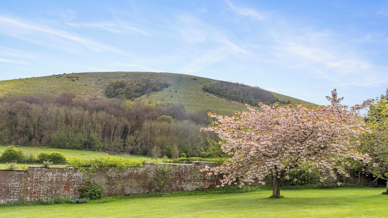 Photo of Outdoor in Clayton