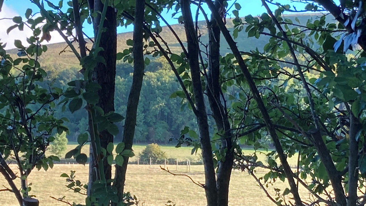 Photo of Outdoor in Clayton