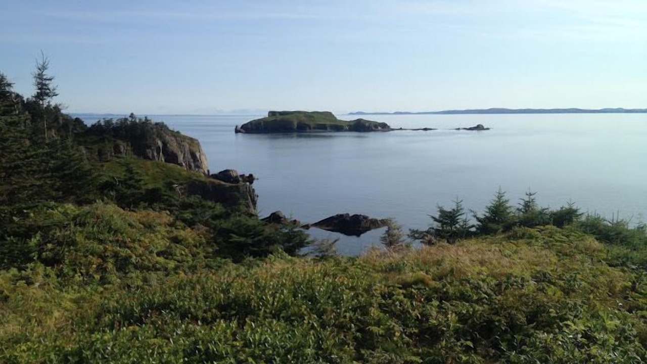 Photo of Outdoor in Arnold's Cove