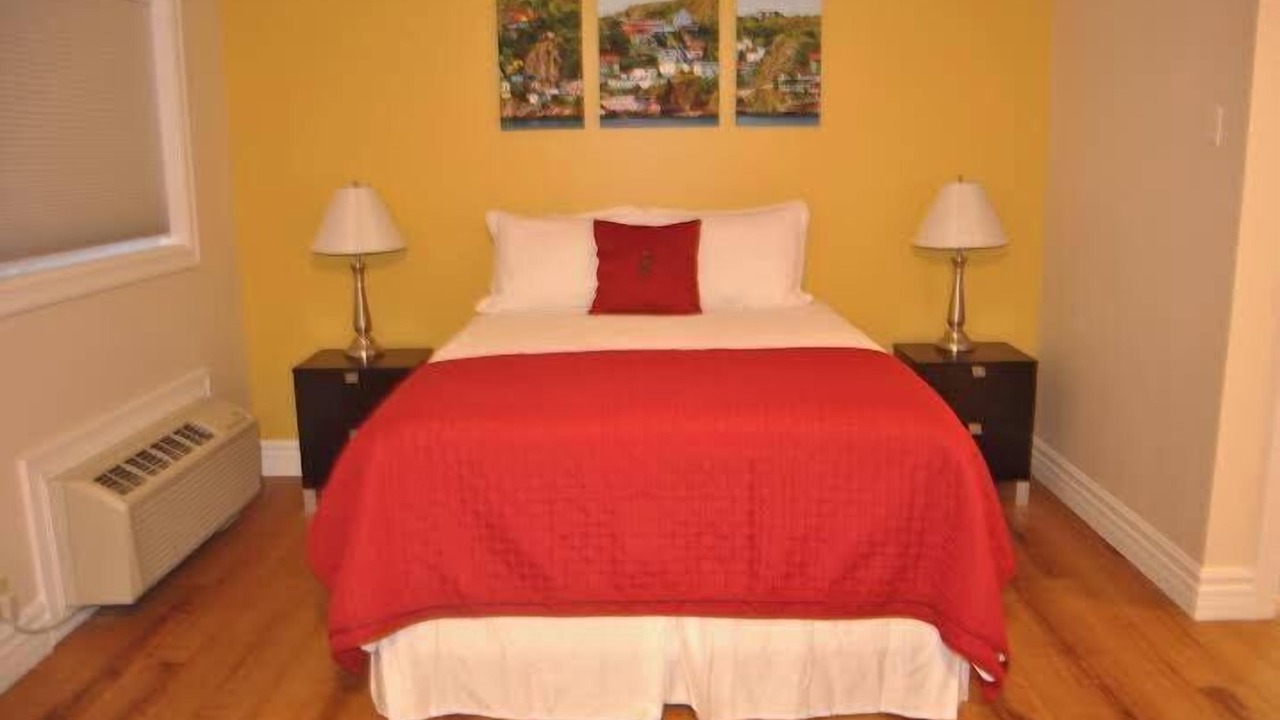 Photo of Others in Arnold's Cove