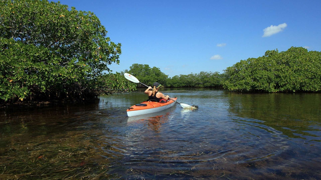 Photo of Outdoor in Siesta Key