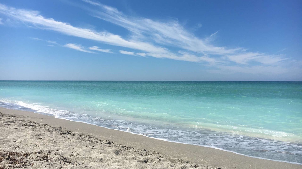 Photo of Outdoor in Siesta Key