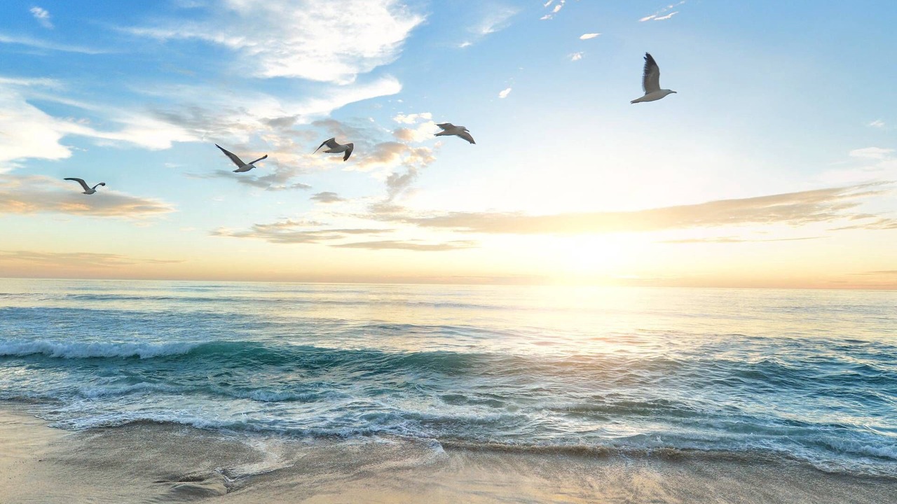 Photo of Outdoor in Siesta Key