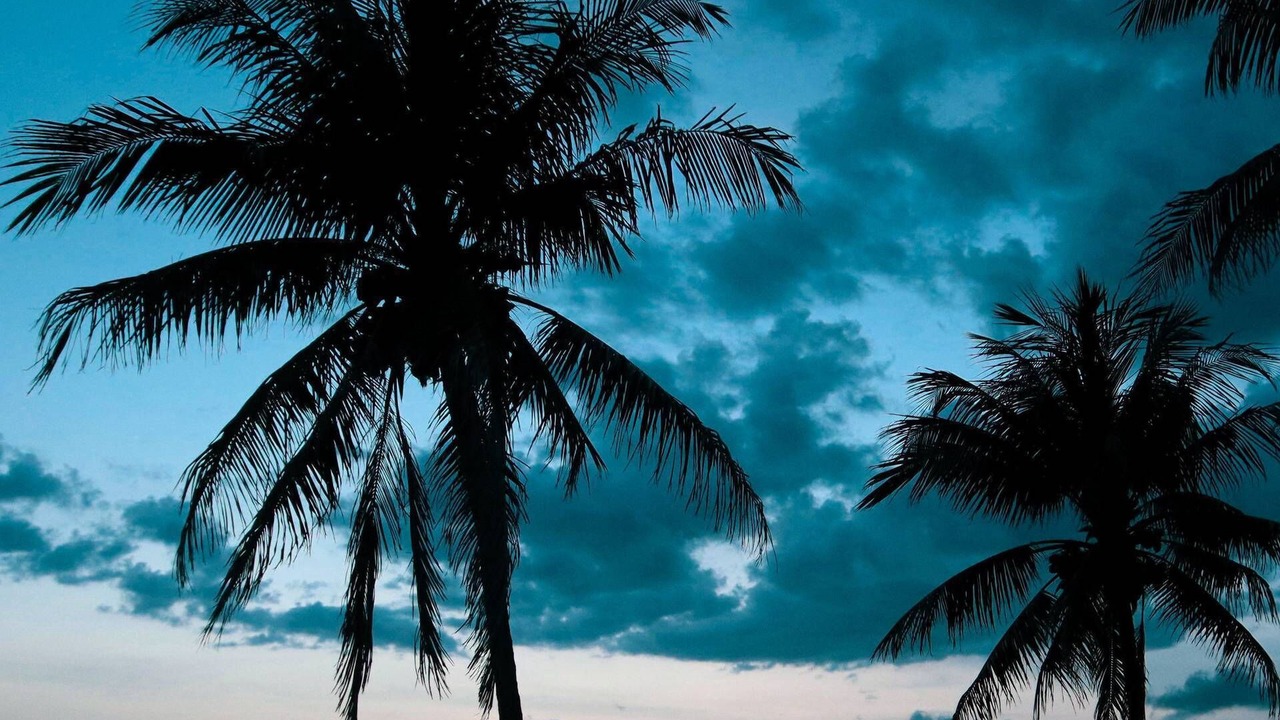 Photo of Outdoor in Siesta Key