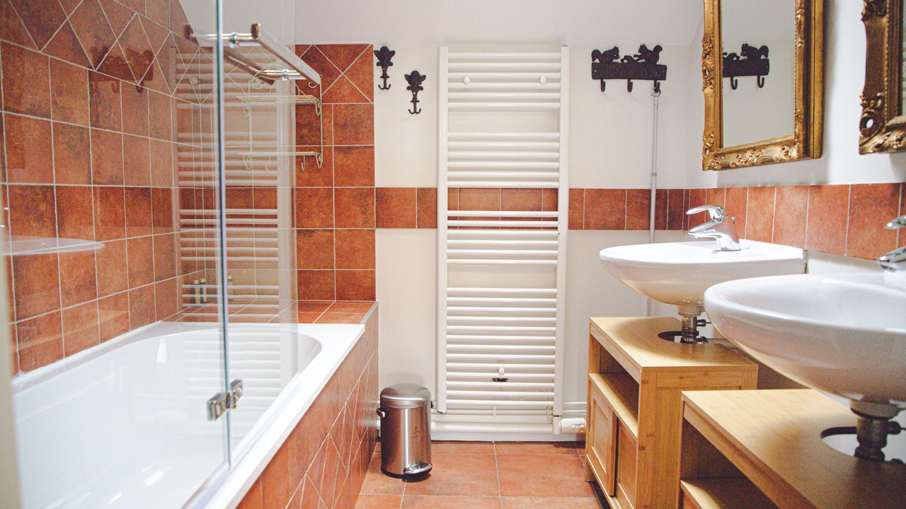 Photo of Bathroom in Lailly-en-Val