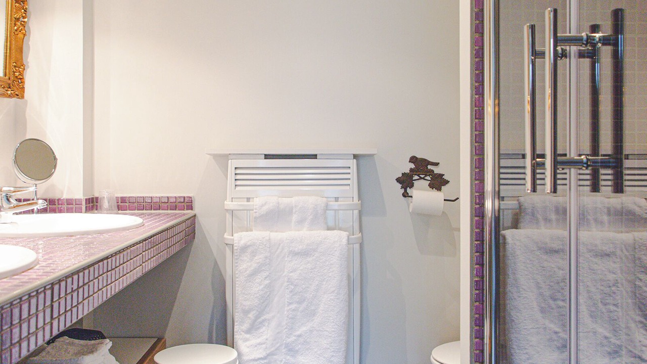 Photo of Bathroom in Lailly-en-Val
