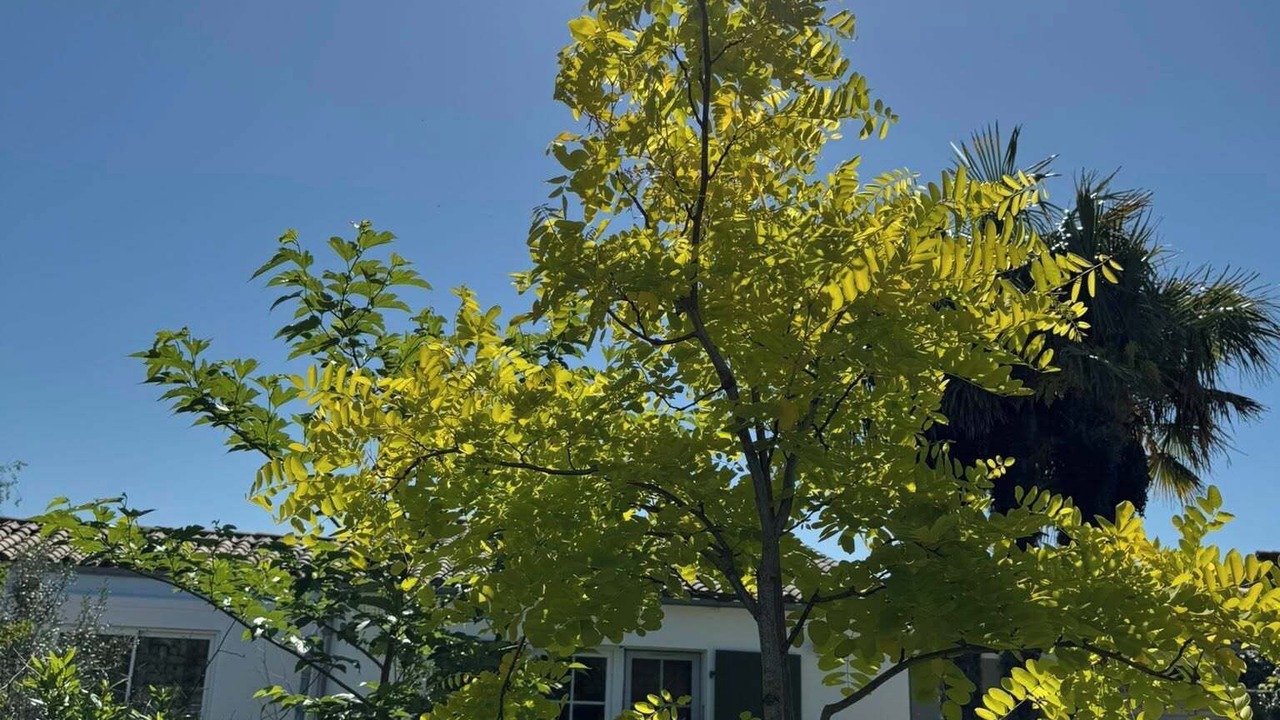 Photo of Outdoor in Sainte-Marie-de-Re