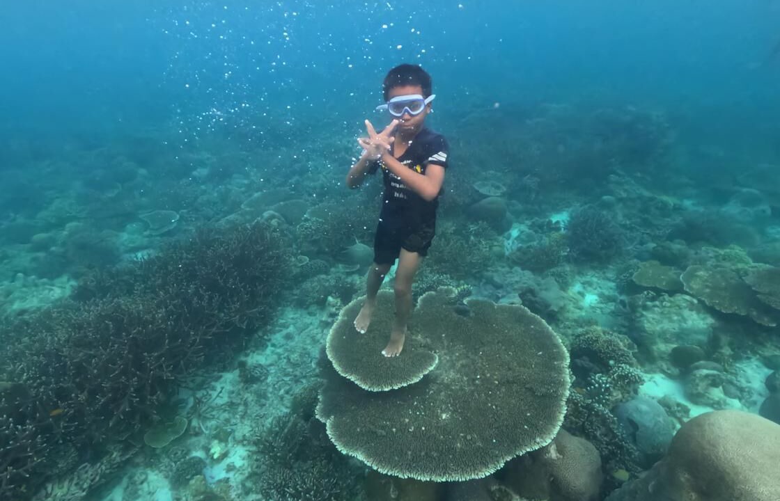 Photo of Others in Central Sulawesi