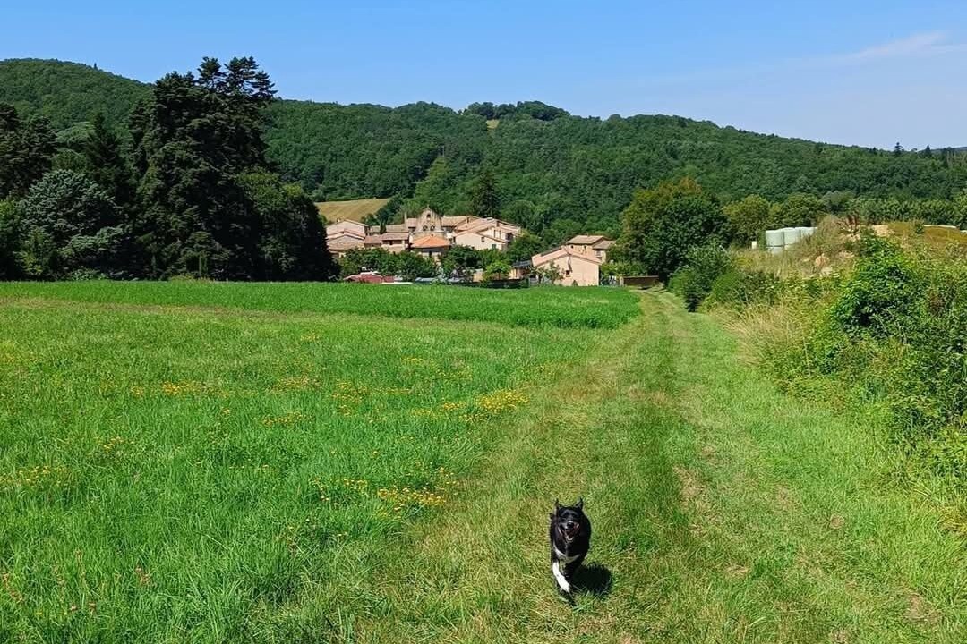 Photo of Outdoor in Sonnac-sur-l'Hers