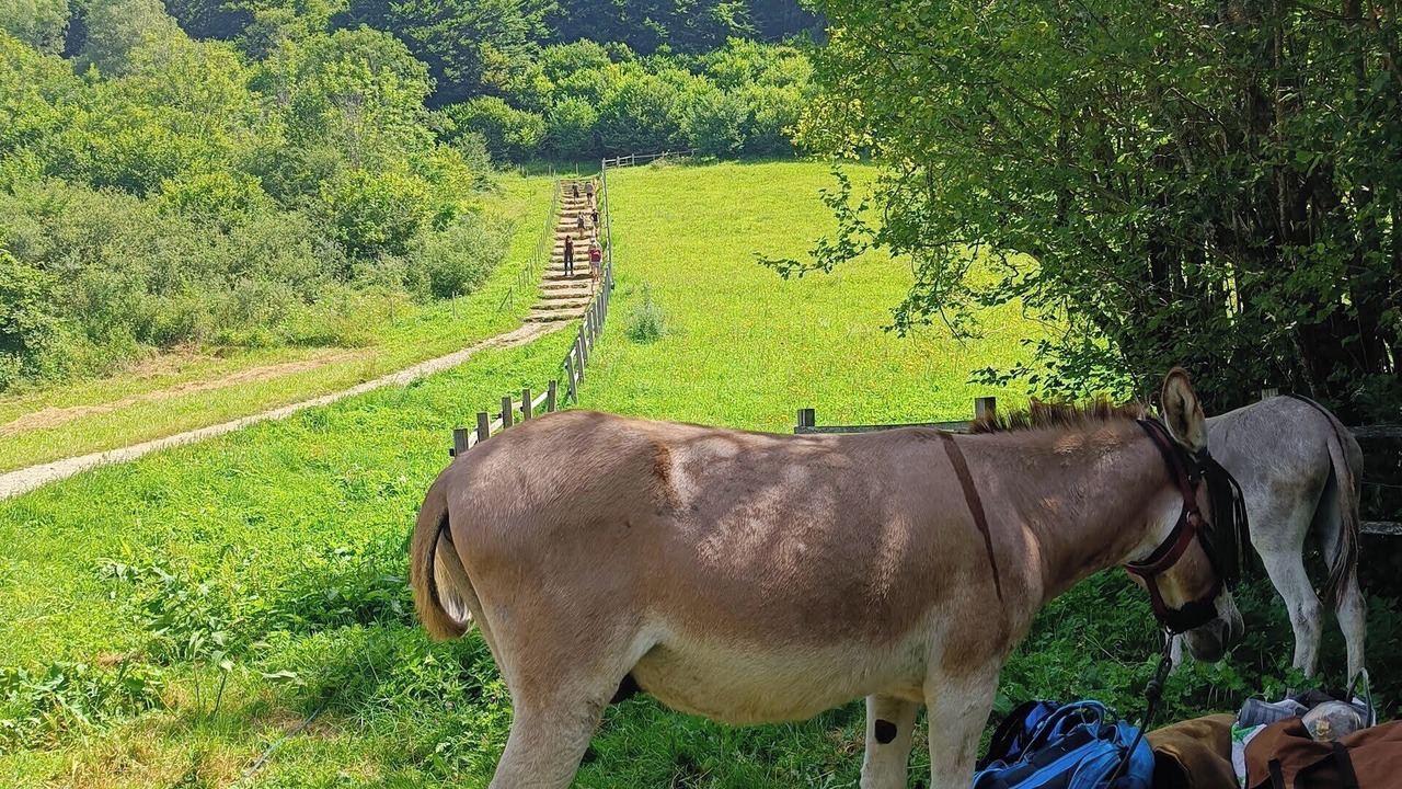 Photo of Others in Sonnac-sur-l'Hers