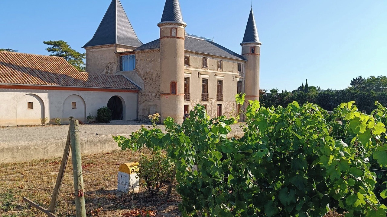 Photo of Others in Sonnac-sur-l'Hers
